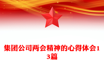 集團(tuán)公司兩會精神的心得體會13篇