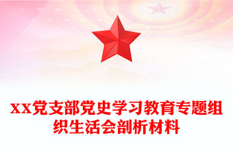 XX黨支部黨史學習教育專題組織生活會剖析材料