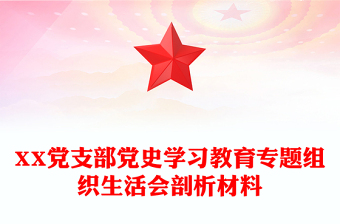 XX黨支部黨史學(xué)習(xí)教育專(zhuān)題組織生活會(huì)剖析材料