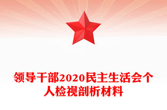 領導干部2020民主生活會個人檢視剖析材料
