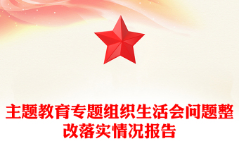 主題教育專題組織生活會問題整改落實(shí)情況報告