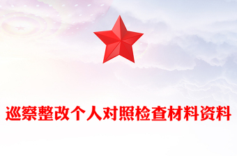 巡察整改個人對照檢查材料資料