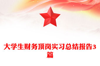 大學生財務頂崗實習總結報告3篇