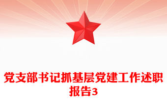 黨支部書記抓基層黨建工作述職報告3