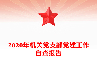 2020年機關黨支部黨建工作自查報告
