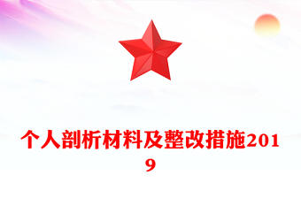 個(gè)人剖析材料及整改措施2019
