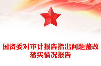 國資委對審計報告指出問題整改落實情況報告