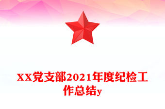 XX黨支部2021年度紀檢工作總結y