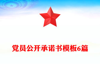 黨員公開承諾書模板6篇