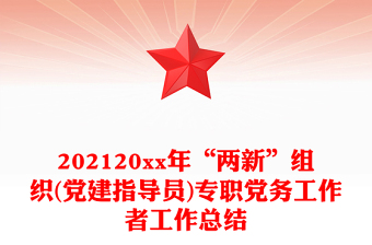 202120xx年“兩新”組織(黨建指導(dǎo)員)專職黨務(wù)工作者工作總結(jié)