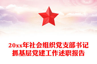 20xx年社會(huì)組織黨支部書記抓基層黨建工作述職報(bào)告