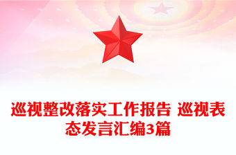 巡視整改落實工作報告 巡視表態發言匯編3篇