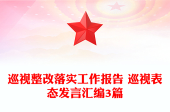 巡視整改落實工作報告 巡視表態(tài)發(fā)言匯編3篇