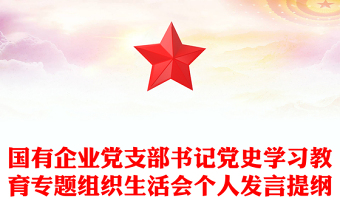 國有企業(yè)黨支部書記黨史學(xué)習(xí)教育專題組織生活會(huì)個(gè)人發(fā)言提綱