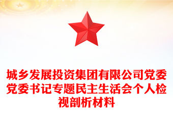 城鄉發展投資集團有限公司黨委黨委書記專題民主生活會個人檢視剖析材料