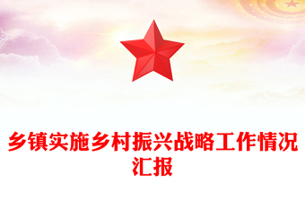 鄉(xiāng)鎮(zhèn)實(shí)施鄉(xiāng)村振興戰(zhàn)略工作情況匯報(bào)