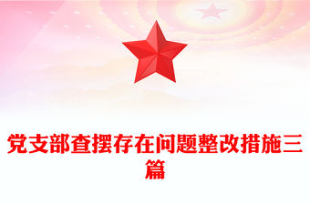 黨支部查擺存在問題整改措施三篇