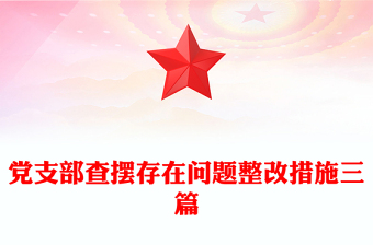 黨支部查擺存在問題整改措施三篇