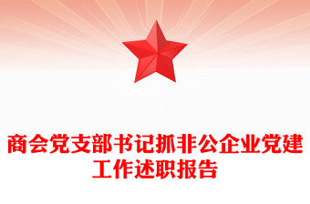商會(huì)黨支部書(shū)記抓非公企業(yè)黨建工作述職報(bào)告