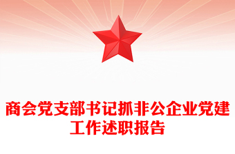 商會黨支部書記抓非公企業(yè)黨建工作述職報告