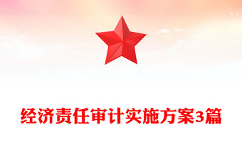 經濟責任審計實施方案3篇