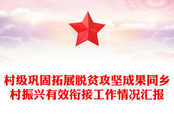 村級鞏固拓展脫貧攻堅(jiān)成果同鄉(xiāng)村振興有效銜接工作情況匯報