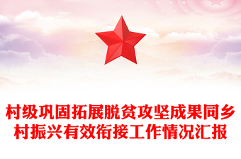 村級鞏固拓展脫貧攻堅(jiān)成果同鄉(xiāng)村振興有效銜接工作情況匯報(bào)