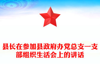 縣長在參加縣政府辦黨總支一支部組織生活會上的講話