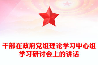 干部在政府黨組理論學(xué)習(xí)中心組學(xué)習(xí)研討會上的講話