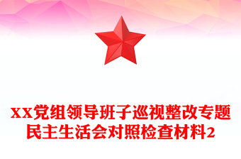 XX黨組領(lǐng)導(dǎo)班子巡視整改專題民主生活會(huì)對(duì)照檢查材料2