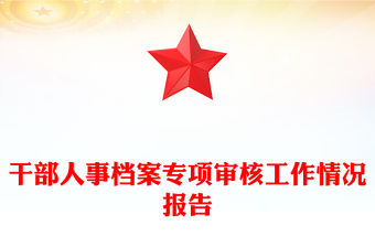 干部人事檔案專項審核工作情況報告