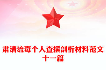 肅清流毒個人查擺剖析材料范文十一篇