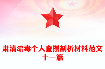 肅清流毒個人查擺剖析材料范文十一篇