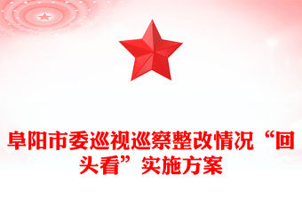 阜陽市委巡視巡察整改情況“回頭看”實施方案
