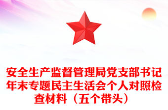 安全生產監督管理局黨支部書記年末專題民主生活會個人對照檢查材料（五個帶頭）