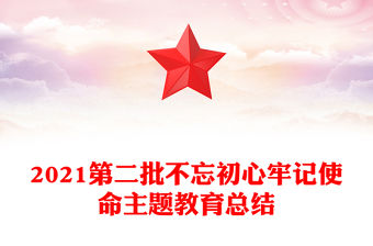 2021第二批不忘初心牢記使命主題教育總結