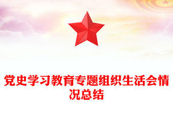 黨史學習教育專題組織生活會情況總結