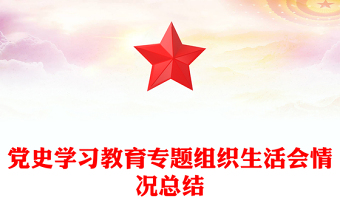 黨史學(xué)習(xí)教育專(zhuān)題組織生活會(huì)情況總結(jié)
