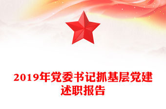 2019年黨委書記抓基層黨建述職報告