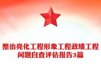 整治亮化工程形象工程政績工程問題自查評估報告3篇
