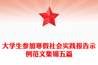 大學生參加寒假社會實踐報告示例范文集錦五篇