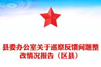 縣委辦公室關(guān)于巡察反饋問題整改情況報告（區(qū)縣）