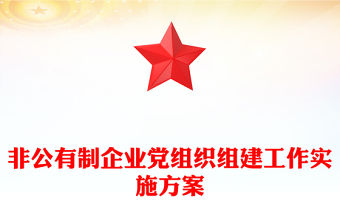 非公有制企業黨組織組建工作實施方案