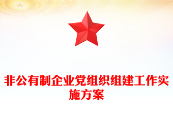 非公有制企業(yè)黨組織組建工作實(shí)施方案