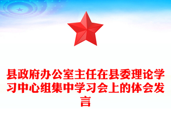 縣政府辦公室主任在縣委理論學習中心組集中學習會上的體會發(fā)言
