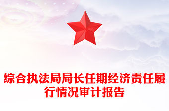 綜合執法局局長任期經濟責任履行情況審計報告