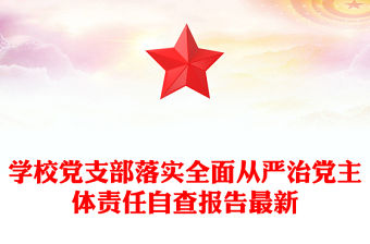 學(xué)校黨支部落實全面從嚴(yán)治黨主體責(zé)任自查報告最新