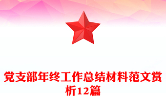 黨支部年終工作總結(jié)材料范文賞析12篇