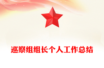 巡察組組長個人工作總結