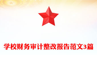 學校財務審計整改報告范文3篇